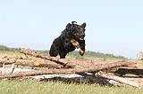 BEAUCERON 140